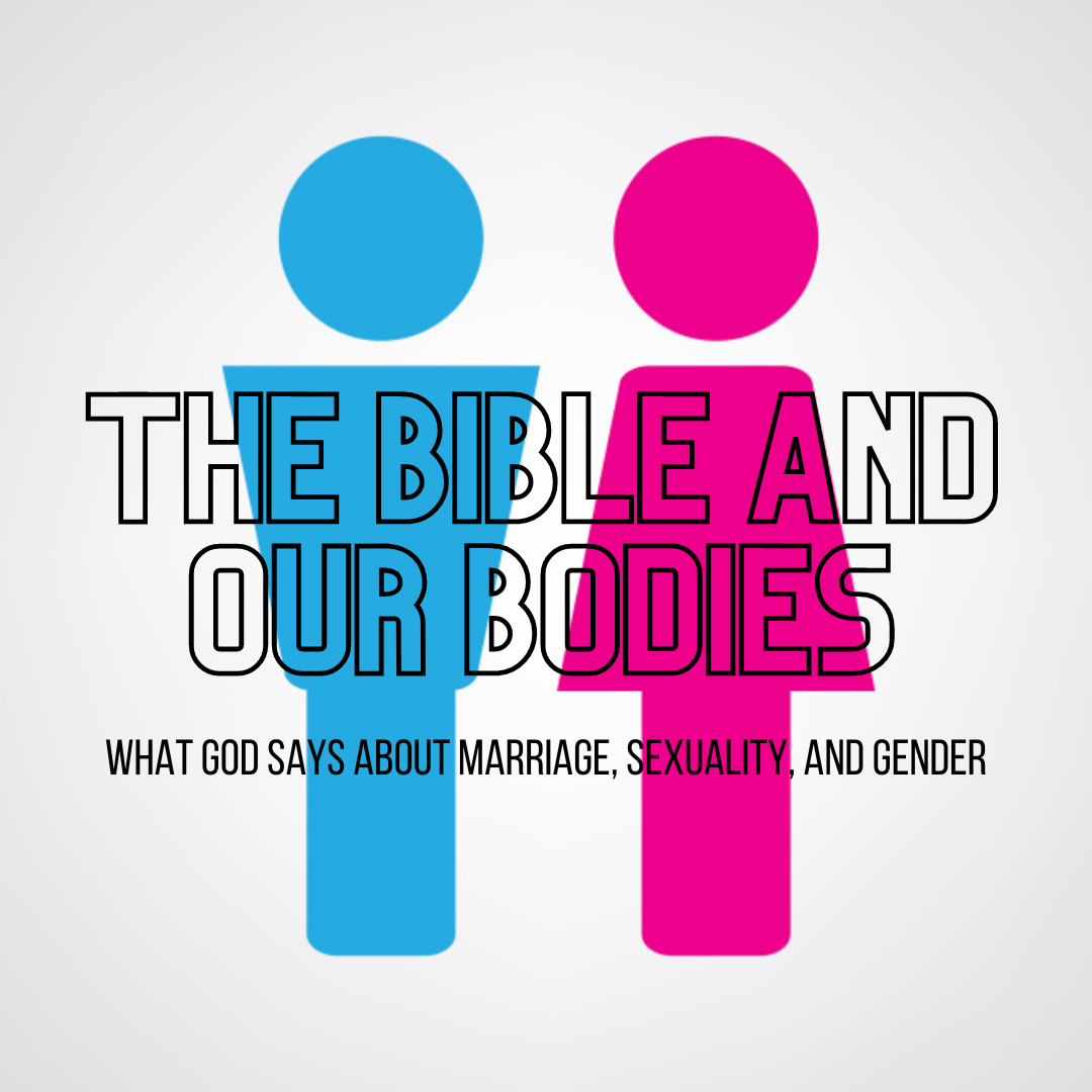 Our Bodies and the New Creation