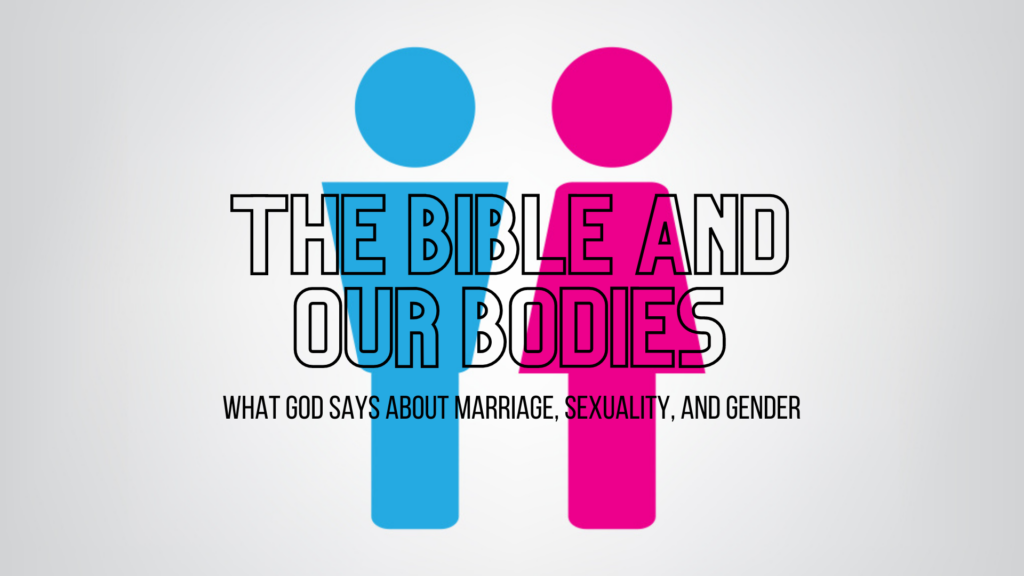 Our Bodies and Creation | Genesis 1-2