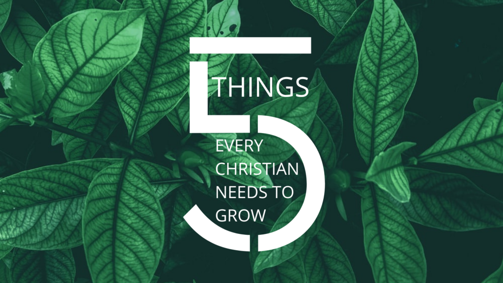 Every Christian Needs Stewardship | Matthew 6:19-24